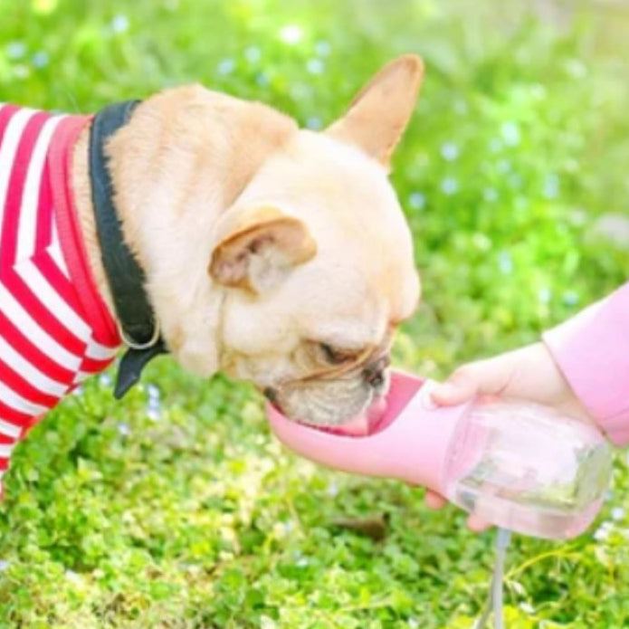 Água Pet - Garrafa de Água Para Cães e Gatos