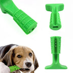 Mordedor Escova de Dentes para Cão